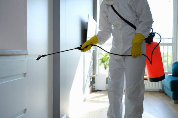 Best Mold Damage Repair  in Wingate, NC