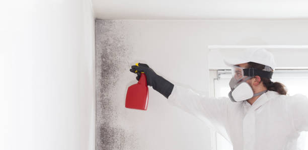 Best Residential Mold Removal  in Wingate, NC