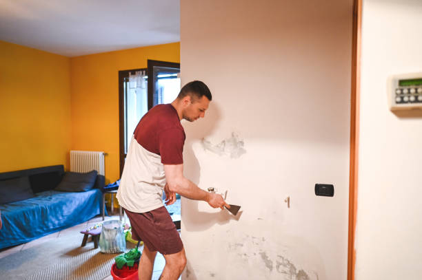 Best Emergency Mold Removal  in Wingate, NC